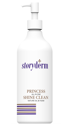 Princess Shine Clean 500ml